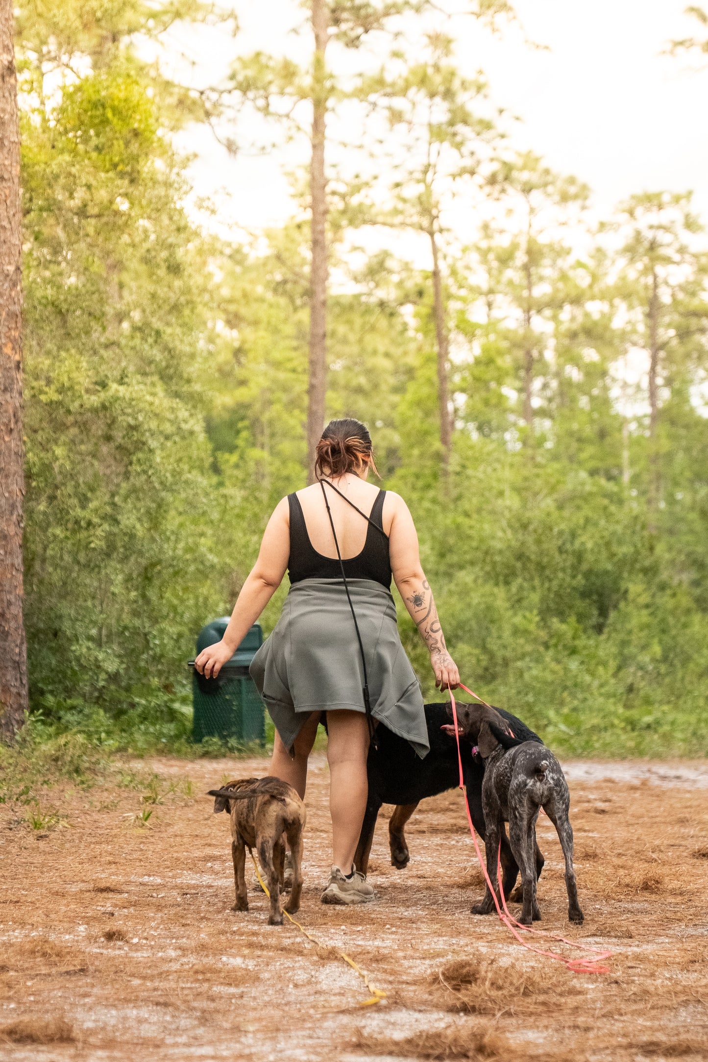 Daycare Plus - 4 week